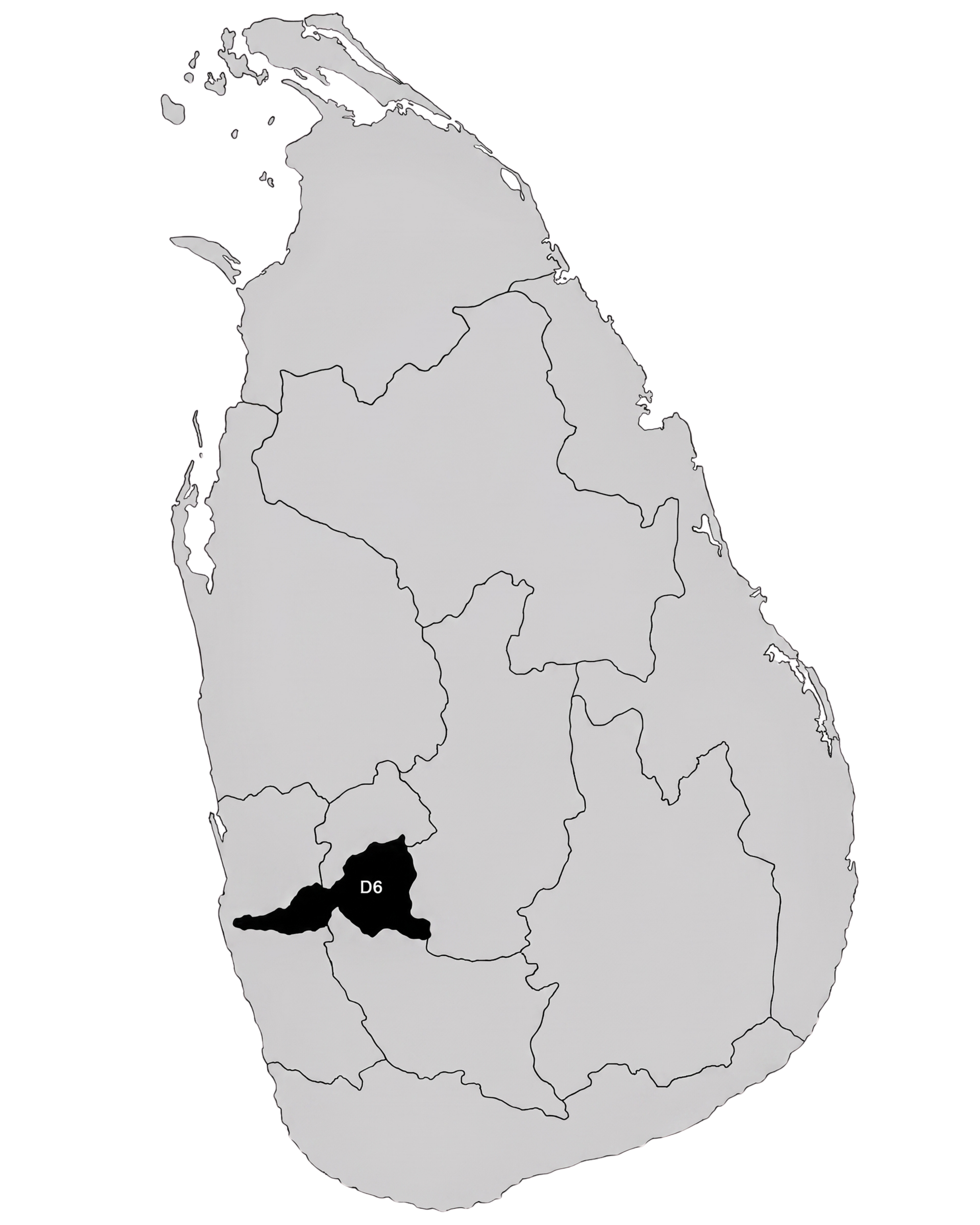 Leo District 306 D6 Emblem